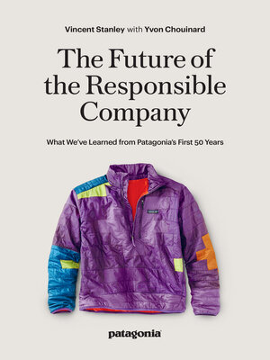 The Future of the Responsible Company - ebook